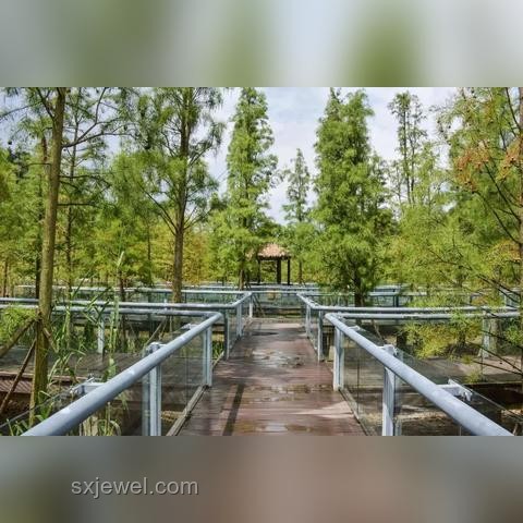 智能家居的理想態(tài)與中國(guó)品牌的突破之旅???