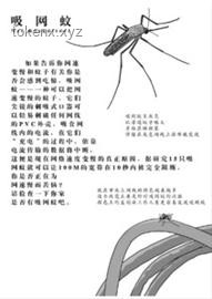 武夷山探險(xiǎn)驚魂記：謠言止于智者，安全銘記于心??假消息