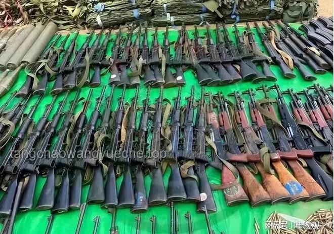 俄官員提供馬斯克政治庇護(hù)指南
