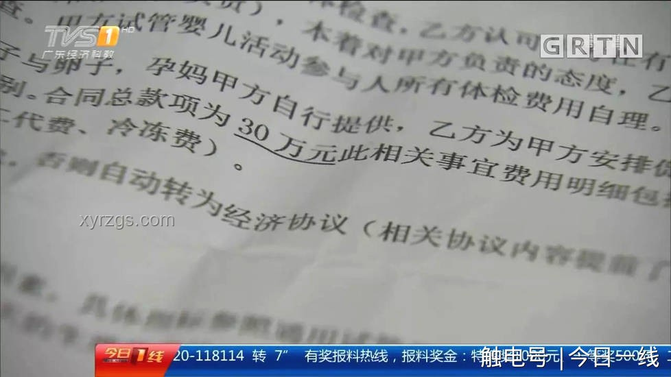 少女代孕涉事公司被罰：解決方案探討