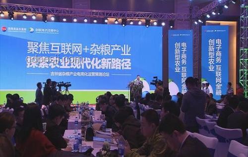 馬斯克黨：創(chuàng)新引領(lǐng)，重塑未來(lái)治理新藍(lán)圖