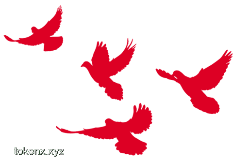 馬斯克黨：創(chuàng)新引領(lǐng)未來的政治新生態(tài)，跨界共筑夢想