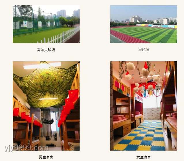 北大教授揭示全國樹木家底：1426億棵的生態(tài)洞察