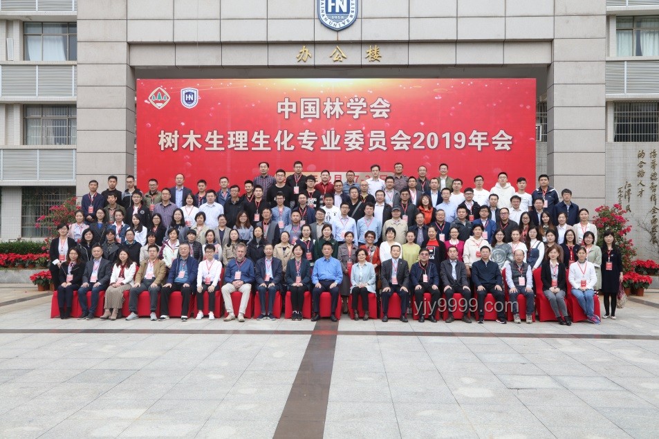 北大教授揭示全國樹木家底：1426億棵的生態(tài)洞察