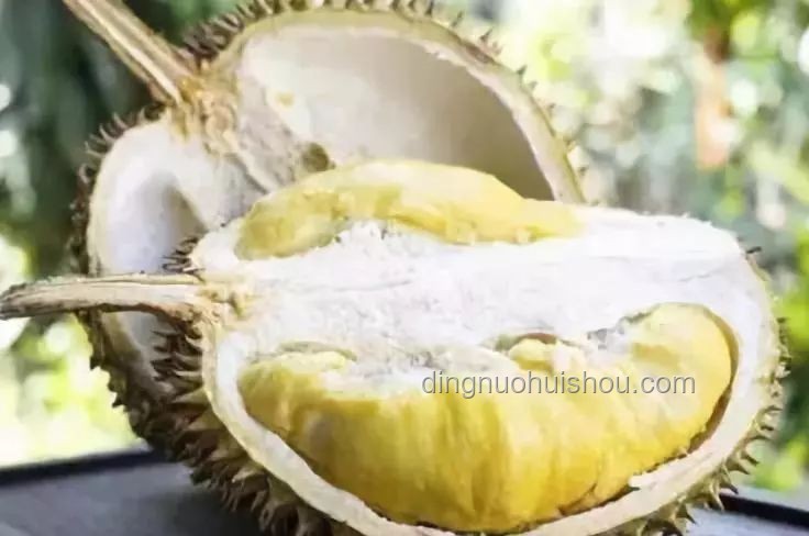 暴跌的榴蓮，我如何“撿漏”成功？