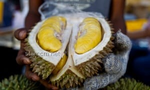 暴跌的榴蓮：背后的市場(chǎng)與品質(zhì)之謎