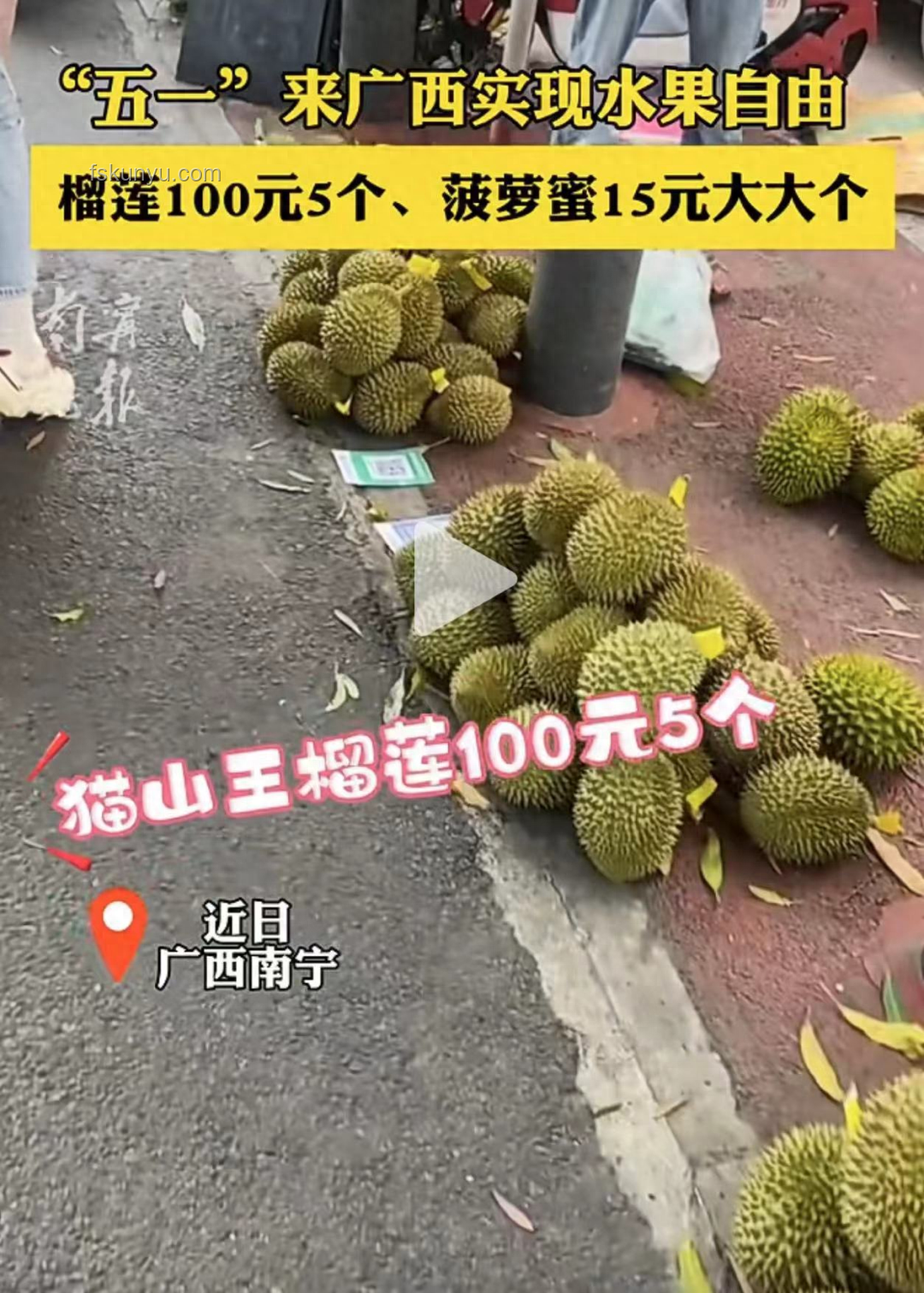 暴跌的榴蓮：市場供需與價格波動的案例研究