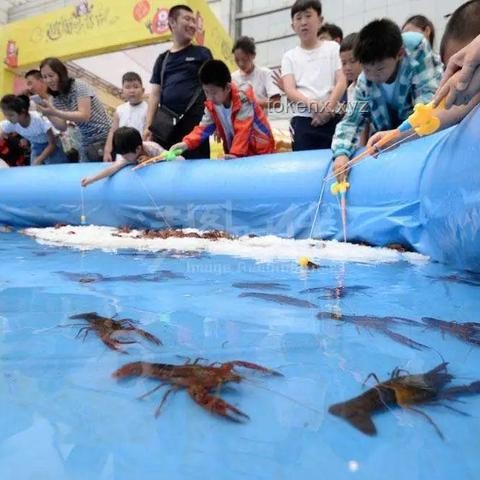 ??原著與游戲雙重盛宴：各自精彩的《無敵號(hào)》之旅