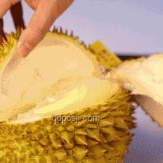 暴跌的榴蓮：價(jià)格變動(dòng)背后的市場與產(chǎn)業(yè)鏈分析