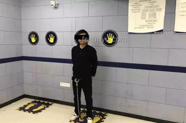中方敦促日方迅速行動(dòng)：嫌犯抓捕案例分析