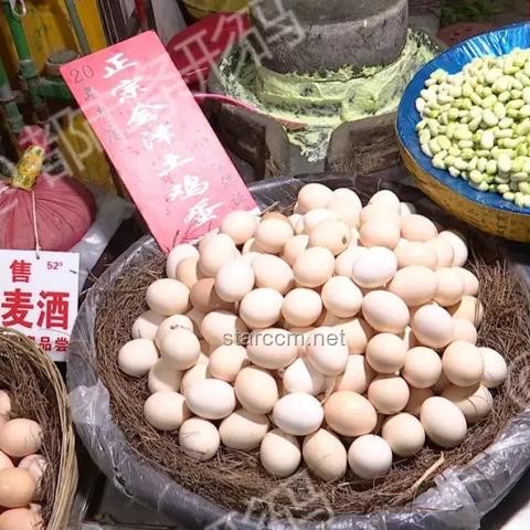 美國170萬枚雞蛋召回問題解決方案
