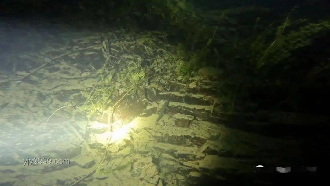 北京地下室大魚池探秘，城市中的水下奇觀