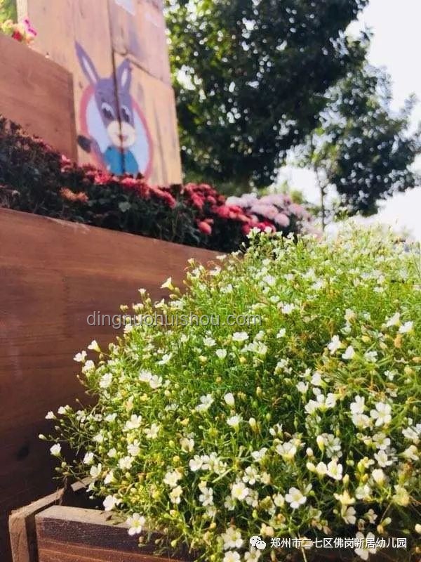9885元打造985鮮花夢，愛孩子就要這樣拼！