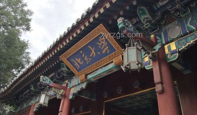 韋東奕粉絲數(shù)破2000萬案例研究