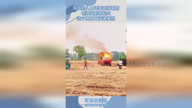 麥田鋼筋之謎：跨界思維探尋惡意破壞背后的法律與創(chuàng)新
