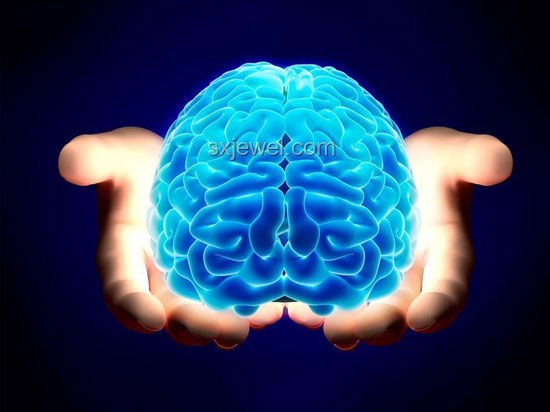 人腦為何不能刪除記憶？電腦與大腦的差異及解決方案