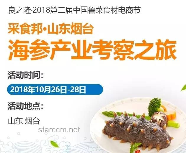 魯菜根整改啟航：從特廚隋坡的反饋看餐飲變革之路