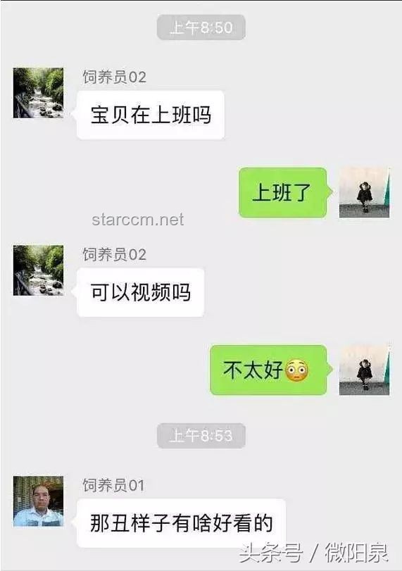 微信聊天記錄，情感關(guān)系的創(chuàng)新透視鏡，跨界解讀