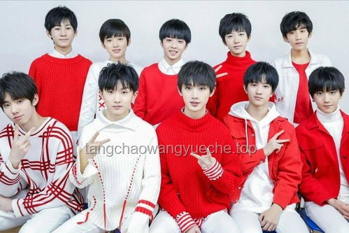 TF三代登陸少年團全員放棄高考問題解決方案
