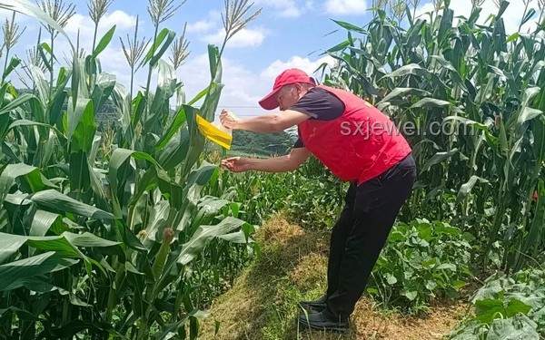 貴州玉米地深坑事件對行業(yè)的影響與洞察