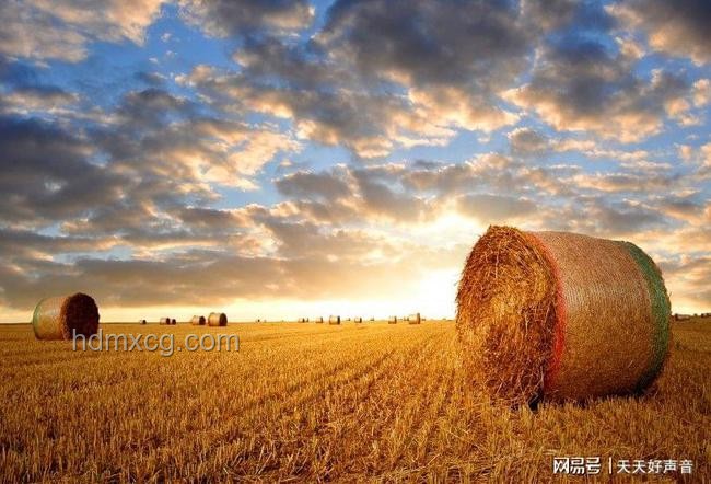 貴州玉米地深坑現(xiàn)象：未來地質(zhì)安全與農(nóng)業(yè)發(fā)展的雙重挑戰(zhàn)