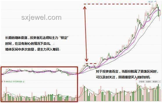 “龍鱗鯉”現(xiàn)象引發(fā)熱議，未來(lái)珍稀水族市場(chǎng)趨勢(shì)如何？