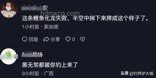 化龍失??？江蘇男子釣獲近純黑“龍鱗鯉”價值幾何？