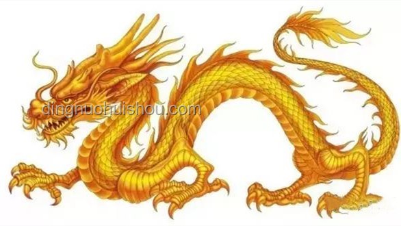 龍鱗鯉真相：近純黑鯉魚非“化龍失敗”，價(jià)值幾何？