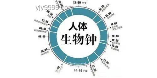 早起影響一日狀態(tài)：科學(xué)驗(yàn)證與行業(yè)洞察