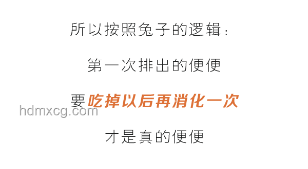 “不做愛不行嗎？”：探索性關(guān)系的多樣性與個人選擇