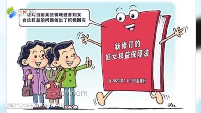 聰明女性的智慧法則：家庭隱私守護與行業(yè)洞察力