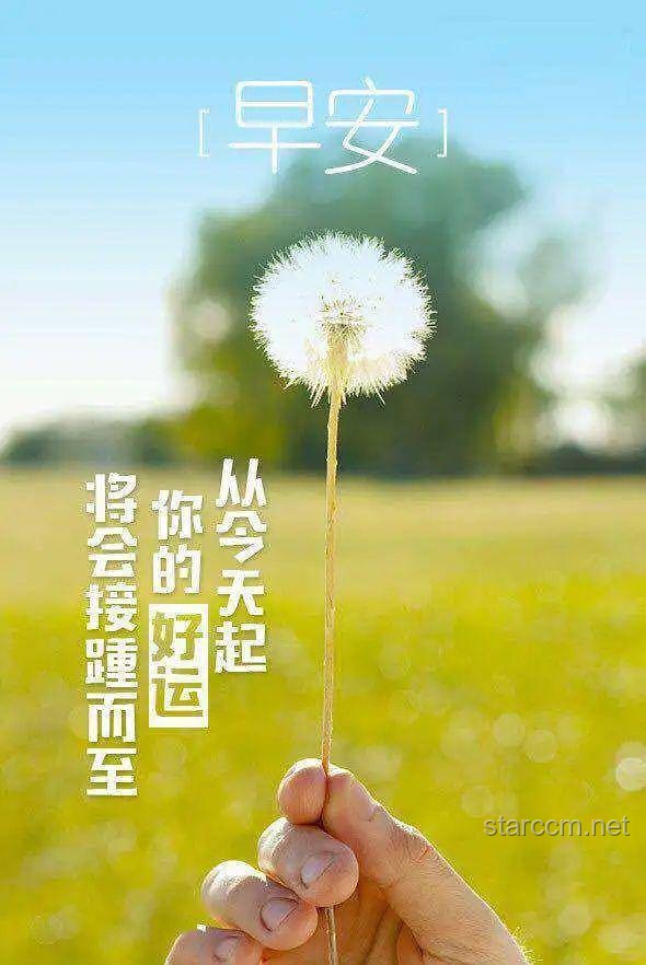 早上起來這樣發(fā)，朋友圈會(huì)被贊爆！?正能量, 生活美學(xué), 情感共鳴, 創(chuàng)意分享