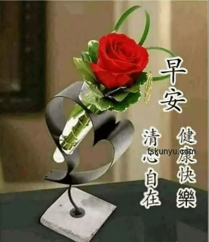 早上起來(lái)這樣發(fā)，朋友圈會(huì)被贊爆！?美好瞬間, 生活儀式感, 心靈雞湯, 創(chuàng)意分享, 正能量爆棚