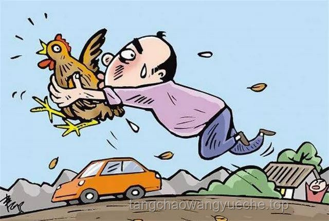 游客被打副所長(zhǎng)拉偏架被免職：公正何在？