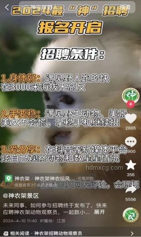 神農(nóng)架景區(qū)招聘“野人”兼職，日薪500元真相揭秘