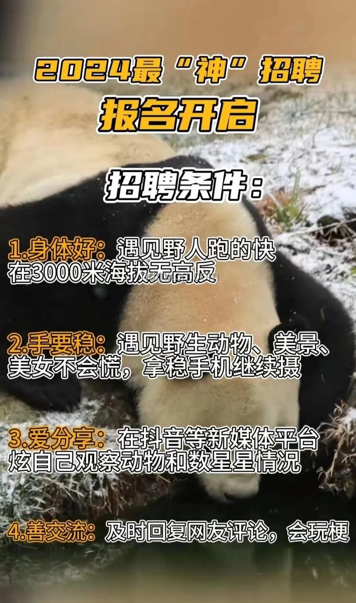 神農(nóng)架景區(qū)招聘“野人”兼職，日薪500元真相揭秘