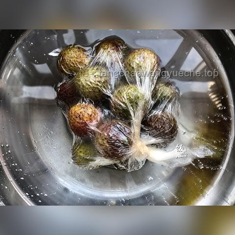 荔枝保鮮與快速運輸解決方案