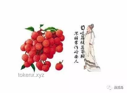 一騎紅塵背后的荔枝文化與行業(yè)趨勢(shì)