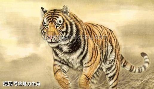 化龍未竟，創(chuàng)新思維“鯉”躍龍門