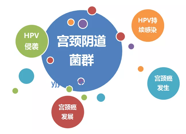 “韋神健康關切：緊急就醫(yī)呼吁的對比分析”