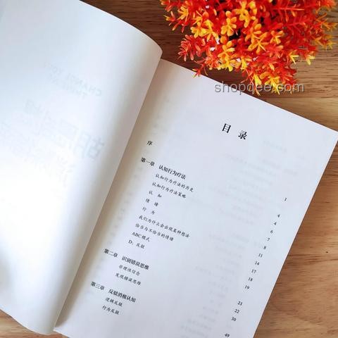 你情緒不好，源于認知局限案例研究