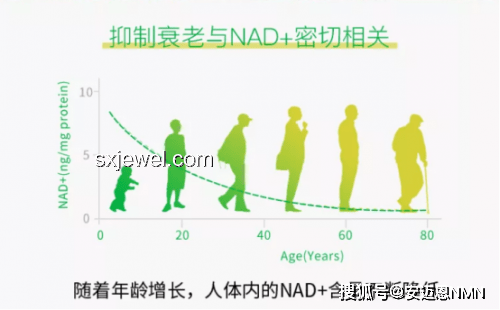 物化生領(lǐng)域早出晚歸現(xiàn)象深度剖析