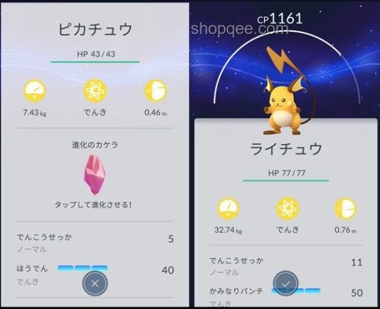 精靈寶可夢(Pokémon)中的趣味冷知識指南 精靈寶可夢(Pokémon)中的趣味冷知識指南