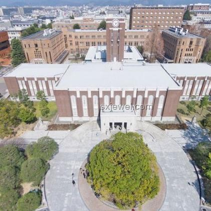 京都大學&東京大學數據科學CS合格經驗分享