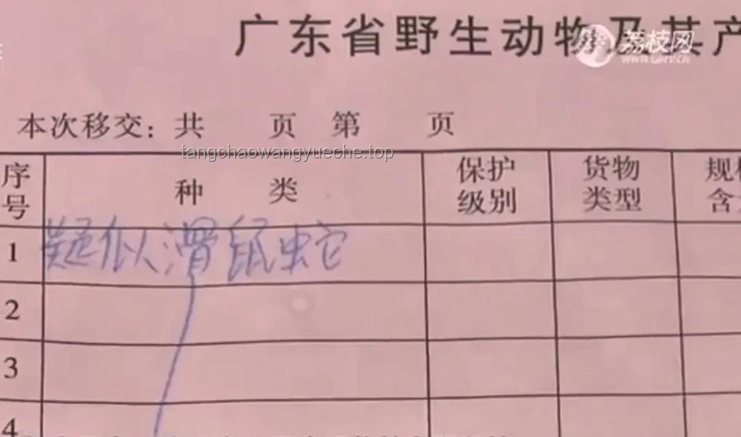廣州小區(qū)滑鼠蛇出現(xiàn)應(yīng)對(duì)方案