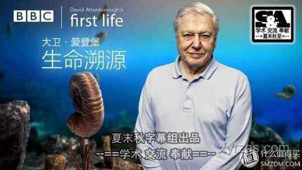 你可能不認識我，但你一定看過我寫的故事：寫作指南