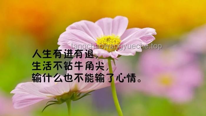 這一次，我不想再輸了：掌握成功秘訣