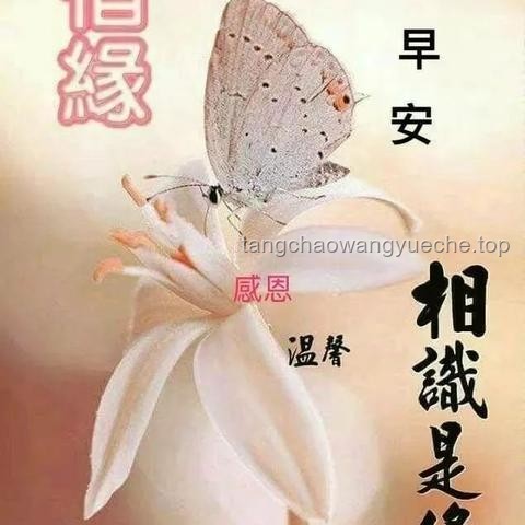 朋友情感需求滿足案例研究：絕區(qū)零生日會與牽掛之情