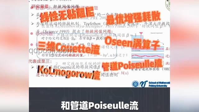 韋東奕賬號案例研究：數(shù)學(xué)天才的網(wǎng)絡(luò)足跡