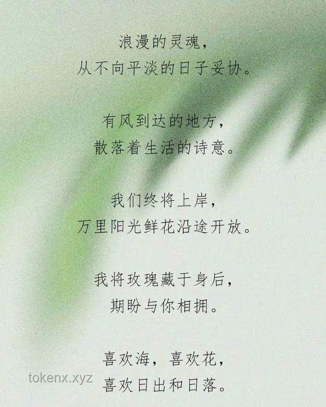 高端局情感博弈：“愛意隨風起，風止意難平”案例分析